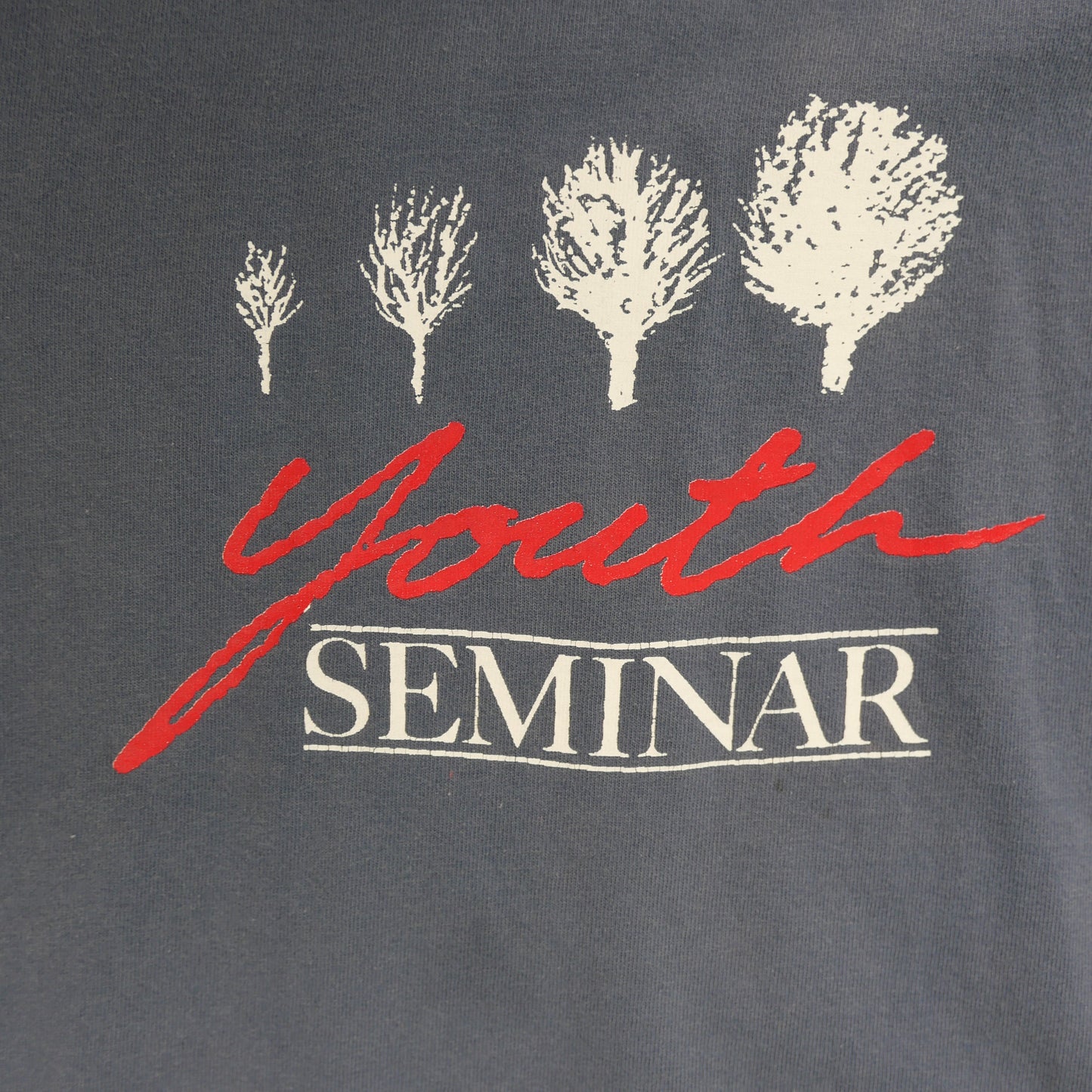 90s~ youth SEMINAR Tee "MadeinUSA" -XL-