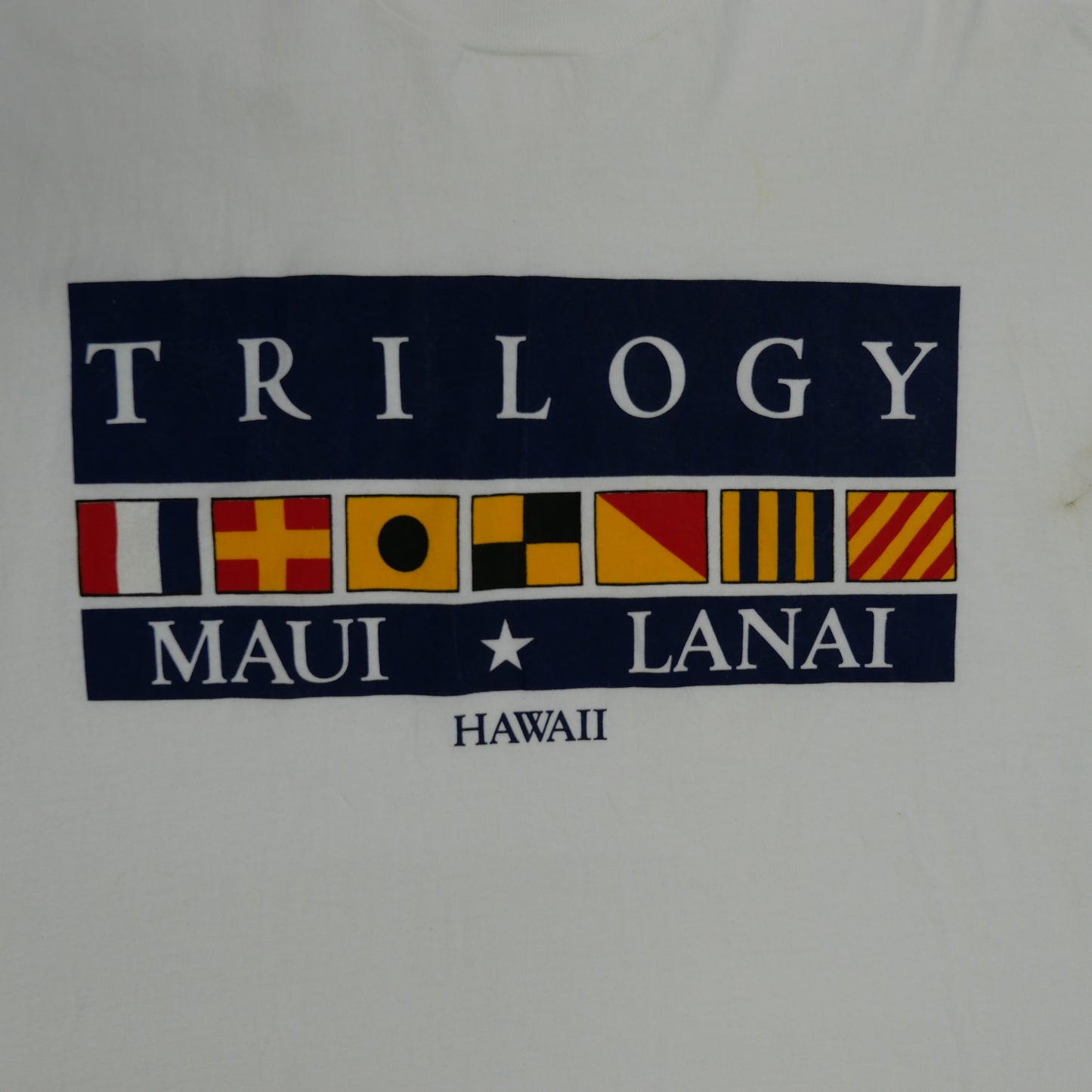 90s~ TRILOGY HAWAII Tee "MadeinUSA" -L-